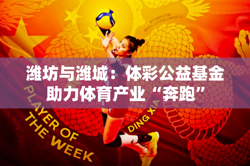 潍坊与潍城：体彩公益基金助力体育产业“奔跑”