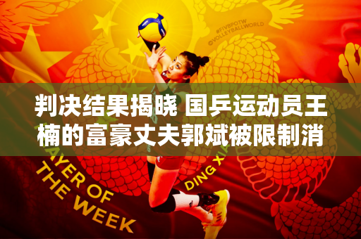 判决结果揭晓 国乒运动员王楠的富豪丈夫郭斌被限制消费 网友：难怪两天行驶2000公里