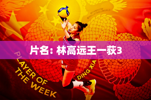 片名: 林高远王一荻3