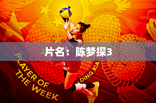 片名：陈梦探3