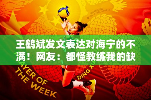王鹤斌发文表达对海宁的不满！网友：都怪教练我的缺点！难怪男排战绩这么差