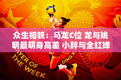 众生相貌：马龙C位 龙与姚明最萌身高差 小胖与全红婵再次同框