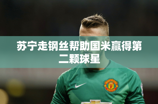 苏宁走钢丝帮助国米赢得第二颗球星