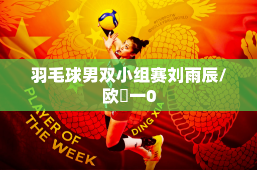 羽毛球男双小组赛刘雨辰/欧烜一0