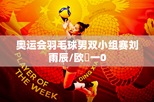 奥运会羽毛球男双小组赛刘雨辰/欧烜一0