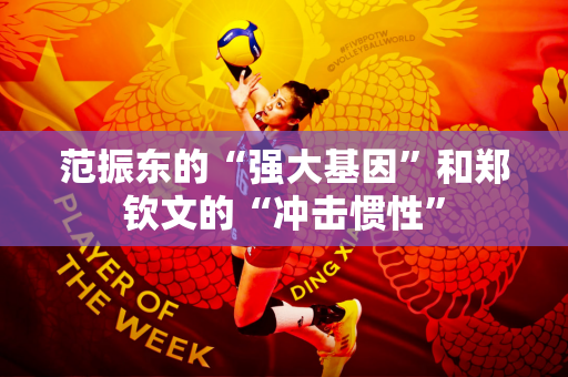 范振东的“强大基因”和郑钦文的“冲击惯性”
