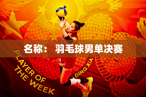 名称： 羽毛球男单决赛