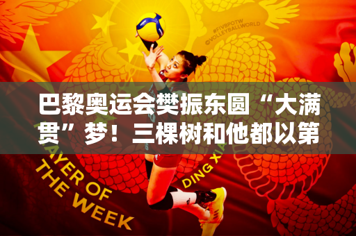 巴黎奥运会樊振东圆“大满贯”梦！三棵树和他都以第一名的成绩证明了自己的实力