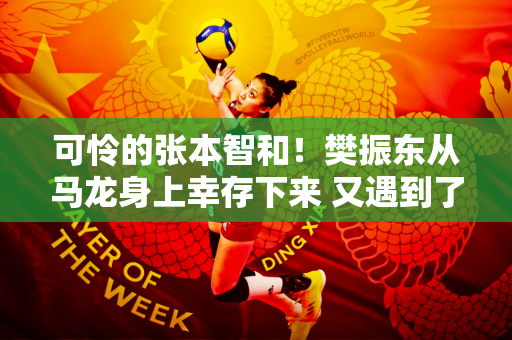 可怜的张本智和！樊振东从马龙身上幸存下来 又遇到了新的受害者 他第一次击败了林诗栋 苦笑着离开了赛场