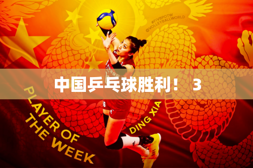 中国乒乓球胜利！ 3