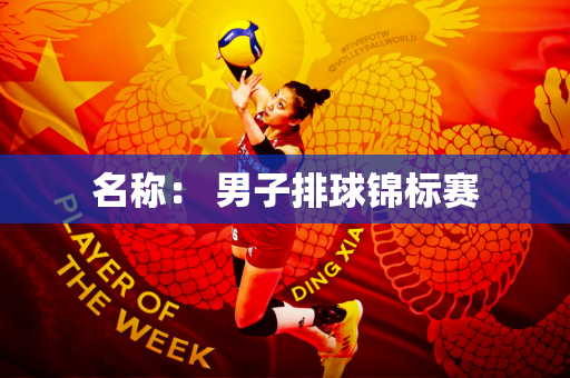 名称： 男子排球锦标赛