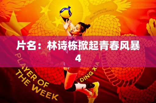 片名：林诗栋掀起青春风暴4