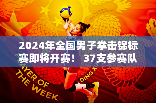 2024年全国男子拳击锦标赛即将开赛！ 37支参赛队伍整装待发！