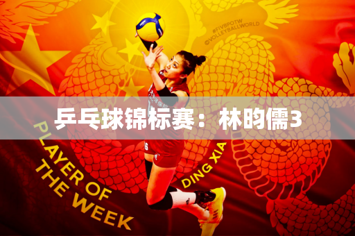 乒乓球锦标赛：林昀儒3