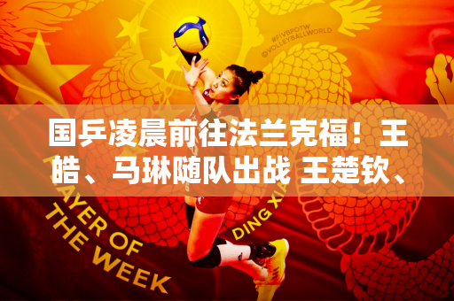 国乒凌晨前往法兰克福！王皓、马琳随队出战 王楚钦、王曼昱为头号种子