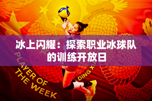 冰上闪耀：探索职业冰球队的训练开放日