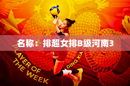 名称：排超女排B级河南3