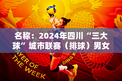 名称：2024年四川“三大球”城市联赛（排球）男女四分之一决赛