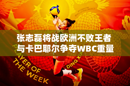 张志磊将战欧洲不败王者 与卡巴耶尔争夺WBC重量级临时拳击冠军腰带