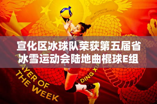 宣化区冰球队荣获第五届省冰雪运动会陆地曲棍球E组冠军