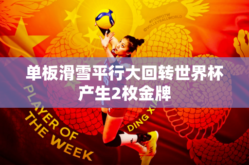 单板滑雪平行大回转世界杯产生2枚金牌