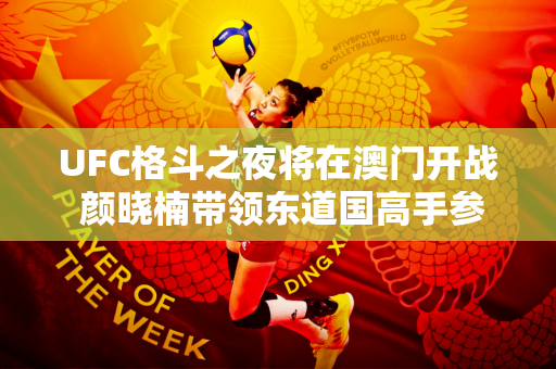 UFC格斗之夜将在澳门开战 颜晓楠带领东道国高手参战