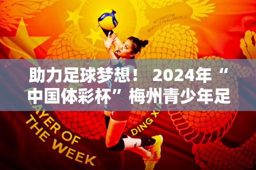 助力足球梦想！ 2024年“中国体彩杯”梅州青少年足球慈善邀请赛圆满落幕
