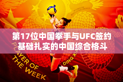 第17位中国拳手与UFC签约 基础扎实的中国综合格斗仍需“扩圈”