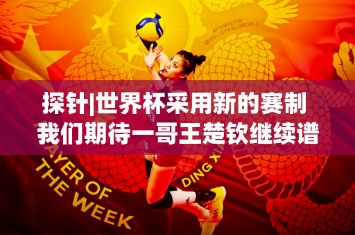 探针|世界杯采用新的赛制 我们期待一哥王楚钦继续谱写大满贯的壮丽乐章