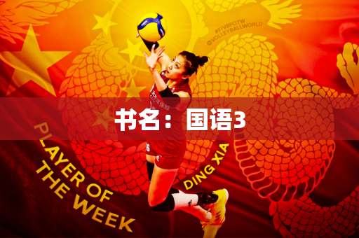 书名：国语3