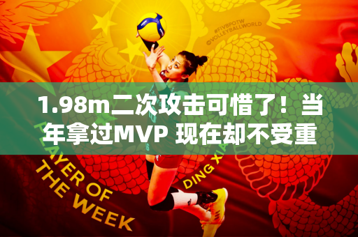 1.98m二次攻击可惜了！当年拿过MVP 现在却不受重用 网友：中勇成伤了