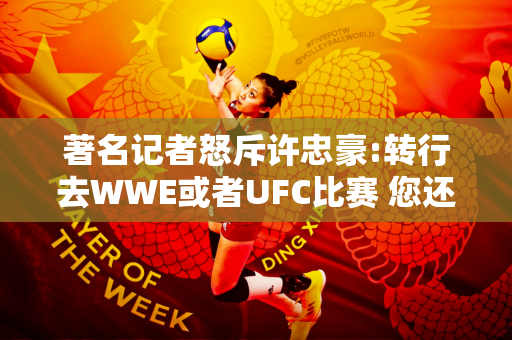 著名记者怒斥许忠豪:转行去WWE或者UFC比赛 您还可以打野球 我倒要看看你被打了多少次