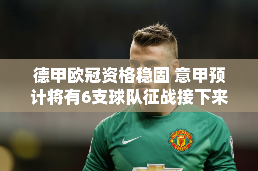 德甲欧冠资格稳固 意甲预计将有6支球队征战接下来的欧冠！