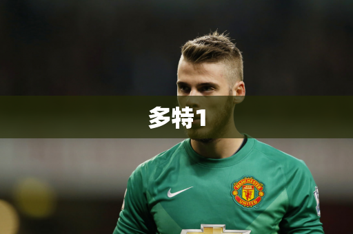 多特1